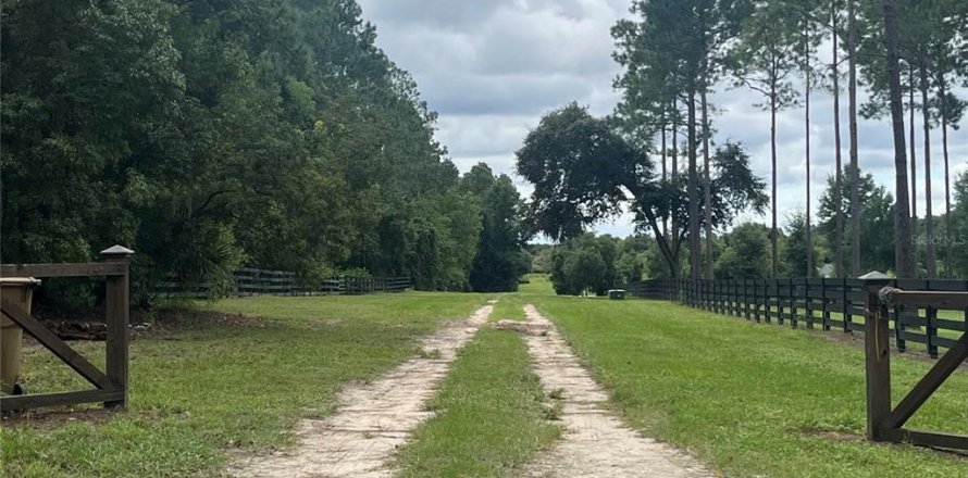 Terrain à Eustis, Floride № 1361055