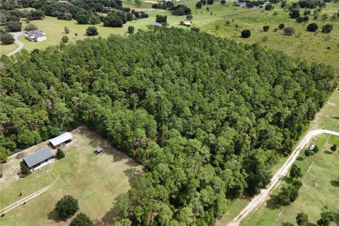 Land in Eustis, Florida № 1361055 - photo 6