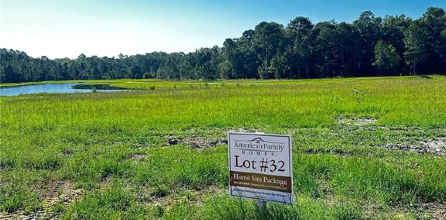 Land in Umatilla, Florida № 1278810