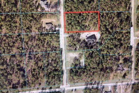 Land in Dunnellon, Florida № 1319979 - photo 3