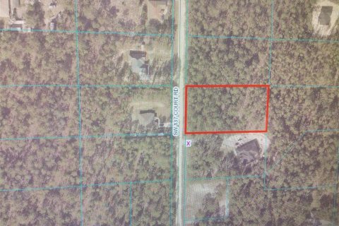 Land in Dunnellon, Florida № 1319979 - photo 2