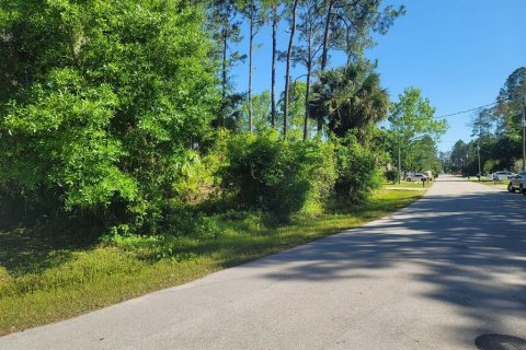 Купить земельный участок в Палм-Кост, Флорида № 217870 - фото 3