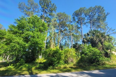 Купить земельный участок в Палм-Кост, Флорида № 217870 - фото 2