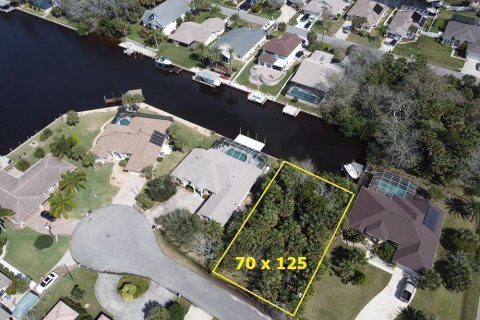 Купить земельный участок в Палм-Кост, Флорида № 218050 - фото 1
