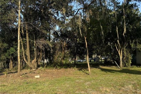 Terreno en venta en Dade City, Florida № 1408716 - foto 2