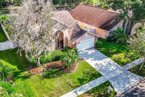 Villa ou maison à vendre à Tampa, Floride: 4 chambres, 205.69 m2 № 1324251 - photo 4