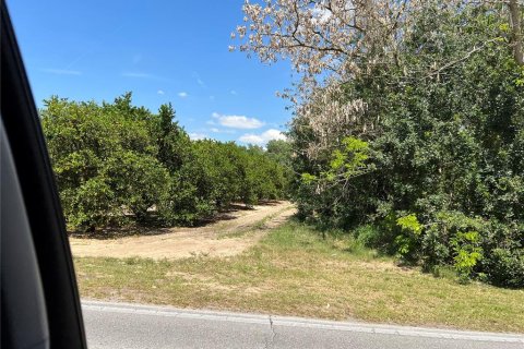 Terreno en venta en Lake Wales, Florida № 1360915 - foto 8