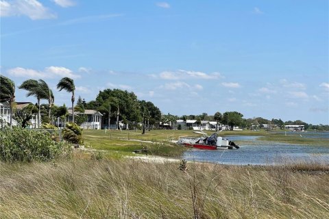 Terreno en venta en Lake Wales, Florida № 1360915 - foto 3