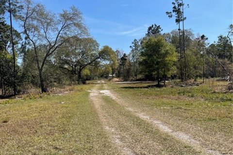 Land in Groveland, Florida № 1299838 - photo 1