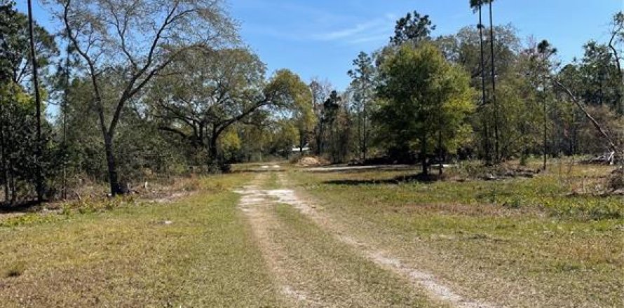 Terreno en Groveland, Florida № 1299838