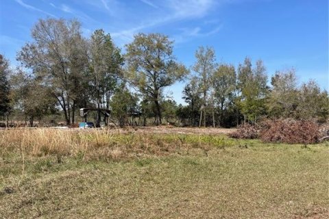 Land in Groveland, Florida № 1299838 - photo 12