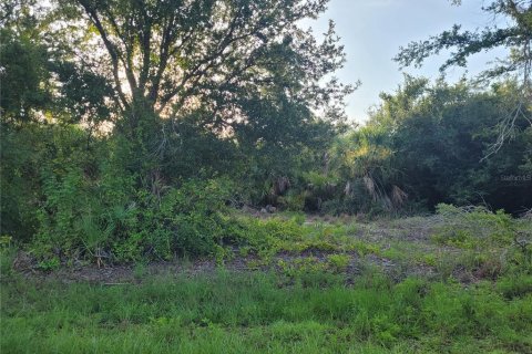 Terreno en venta en Port Charlotte, Florida № 1262714 - foto 3