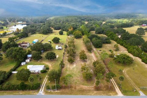 Land in Umatilla, Florida № 1359532 - photo 2