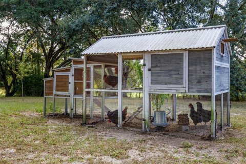 Land in Umatilla, Florida № 1359532 - photo 7