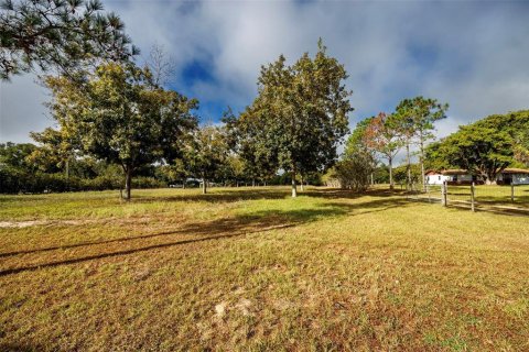 Terreno en venta en Umatilla, Florida № 1359532 - foto 1