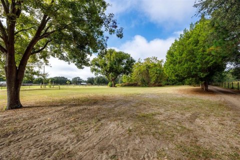 Land in Umatilla, Florida № 1359532 - photo 9