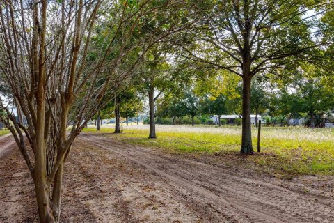 Terreno en venta en Umatilla, Florida № 1359532 - foto 6