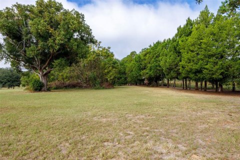 Land in Umatilla, Florida № 1359532 - photo 10