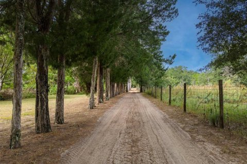 Land in Umatilla, Florida № 1359532 - photo 5