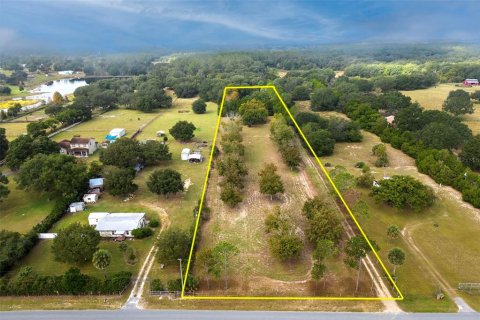 Terreno en venta en Umatilla, Florida № 1359532 - foto 3