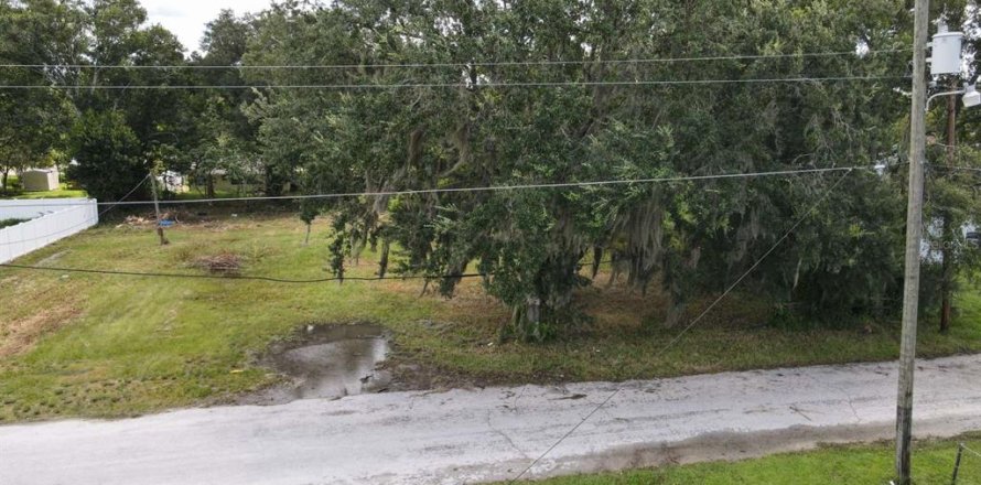 Terreno en Lakeland, Florida № 1316952