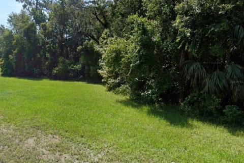 Land in DeLand, Florida № 1316951 - photo 5