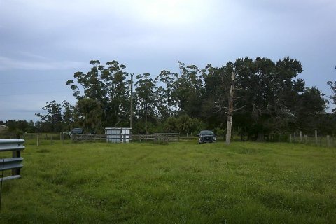 Land in Moore Haven, Florida № 793466 - photo 29