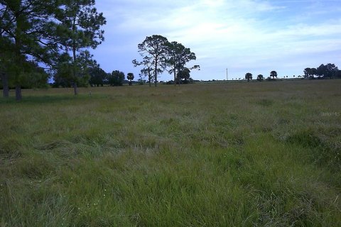Land in Moore Haven, Florida № 793466 - photo 28