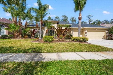 Villa ou maison à vendre à Wesley Chapel, Floride: 5 chambres, 297.19 m2 № 1005871 - photo 1