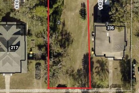 Terreno en venta en Eustis, Florida № 1432731 - foto 1