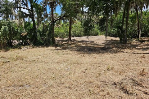 Land in Ruskin, Florida № 1351443 - photo 1