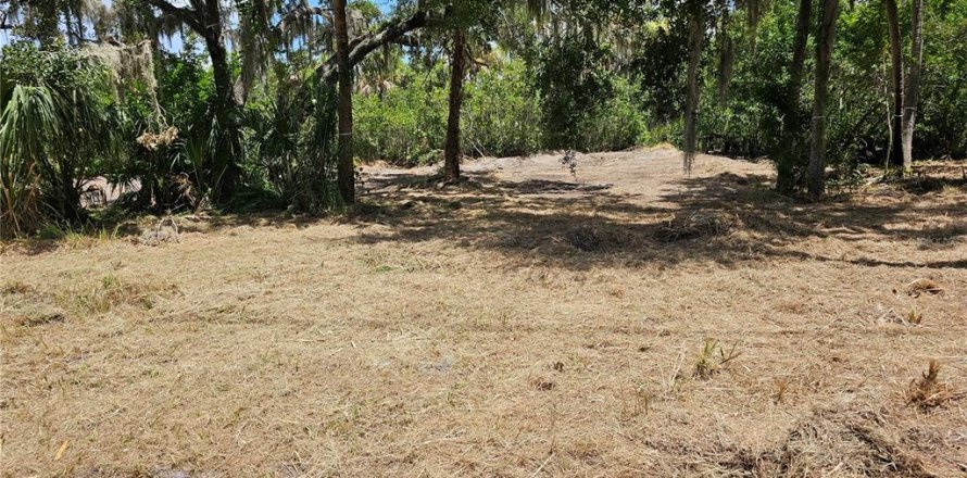 Land in Ruskin, Florida № 1351443