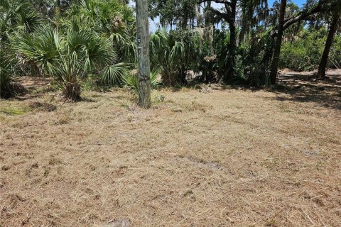 Terreno en venta en Ruskin, Florida № 1351443 - foto 2