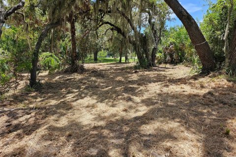 Terrain à vendre à Ruskin, Floride № 1351443 - photo 5