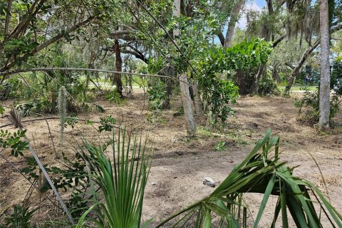 Terreno en venta en Ruskin, Florida № 1351443 - foto 4