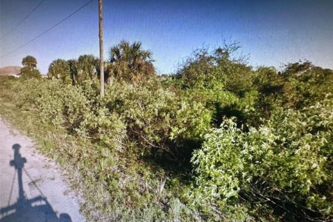 Купить земельный участок в Палм-Бей, Флорида № 973905 - фото 3