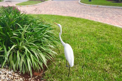 Villa ou maison à vendre à Delray Beach, Floride: 3 chambres, 197.14 m2 № 1081334 - photo 18