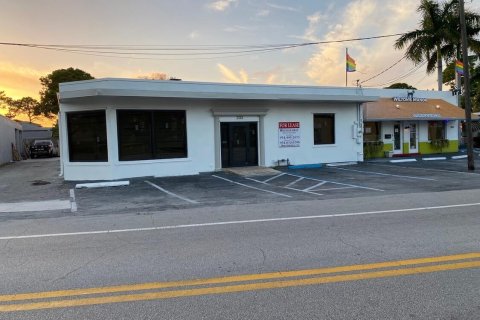 Commercial property in Wilton Manors, Florida № 1099070 - photo 7