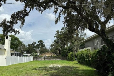 Terreno en venta en Winter Park, Florida № 1352872 - foto 1