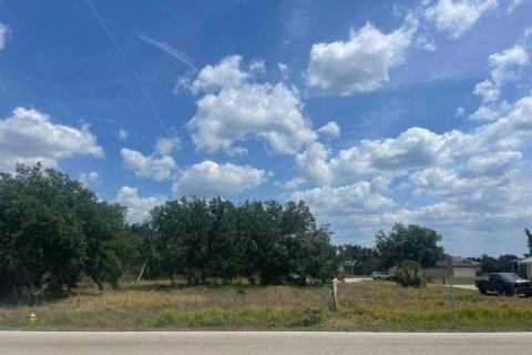 Land in Lake Suzy, Florida № 417026 - photo 5