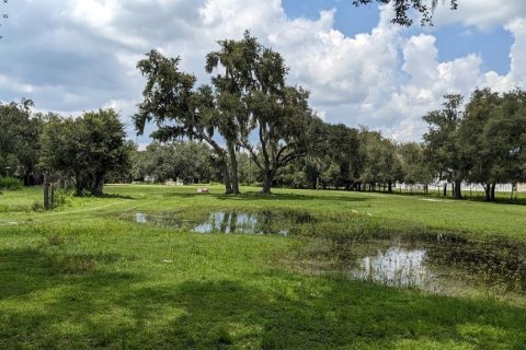 Terreno en venta en Myakka City, Florida № 1303284 - foto 9