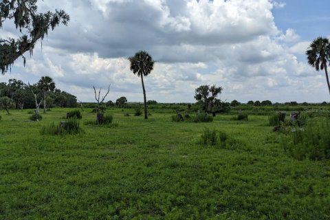 Land in Myakka City, Florida № 1303284 - photo 7