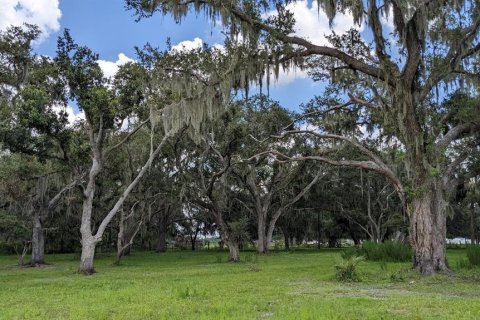 Terreno en venta en Myakka City, Florida № 1303284 - foto 4