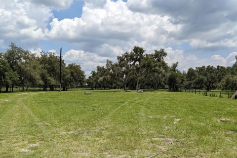 Terrain à vendre à Myakka City, Floride № 1303284 - photo 5