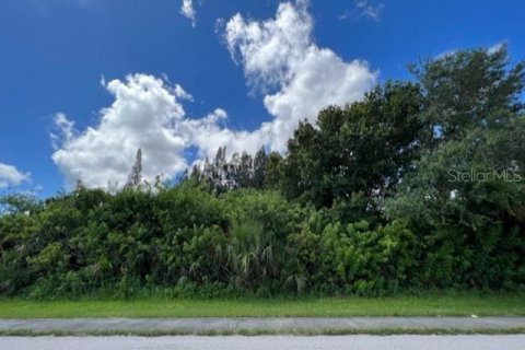 Купить земельный участок в Порт-Шарлотт, Флорида № 220197 - фото 3