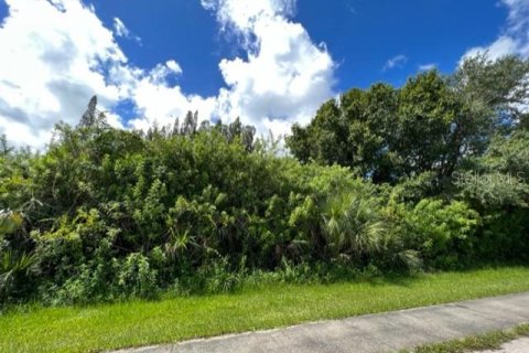 Terreno en venta en Port Charlotte, Florida № 220197 - foto 8