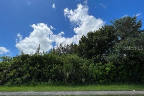 Купить земельный участок в Порт-Шарлотт, Флорида № 220197 - фото 7