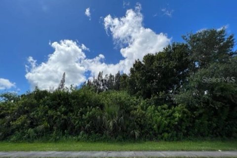 Купить земельный участок в Порт-Шарлотт, Флорида № 220197 - фото 4