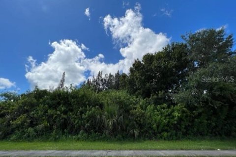 Terreno en venta en Port Charlotte, Florida № 220197 - foto 4