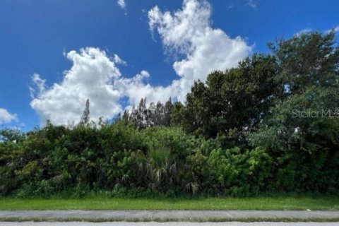 Купить земельный участок в Порт-Шарлотт, Флорида № 220197 - фото 6